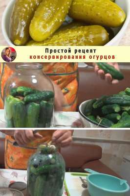 Простой рецепт консервирования огурцов
